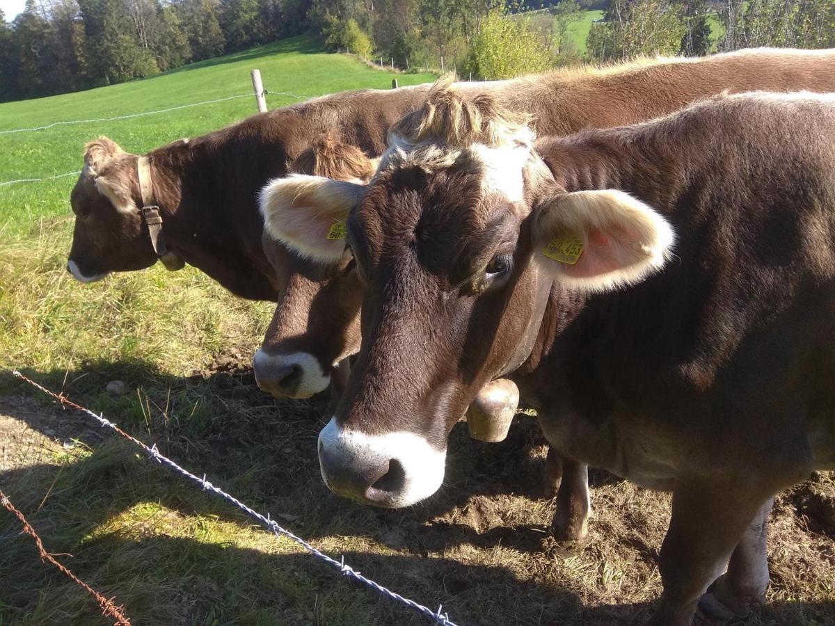 Ferienwohnung Trifts | Einzelbetten | Parkplatz Wangen im Allgäu Buitenkant foto