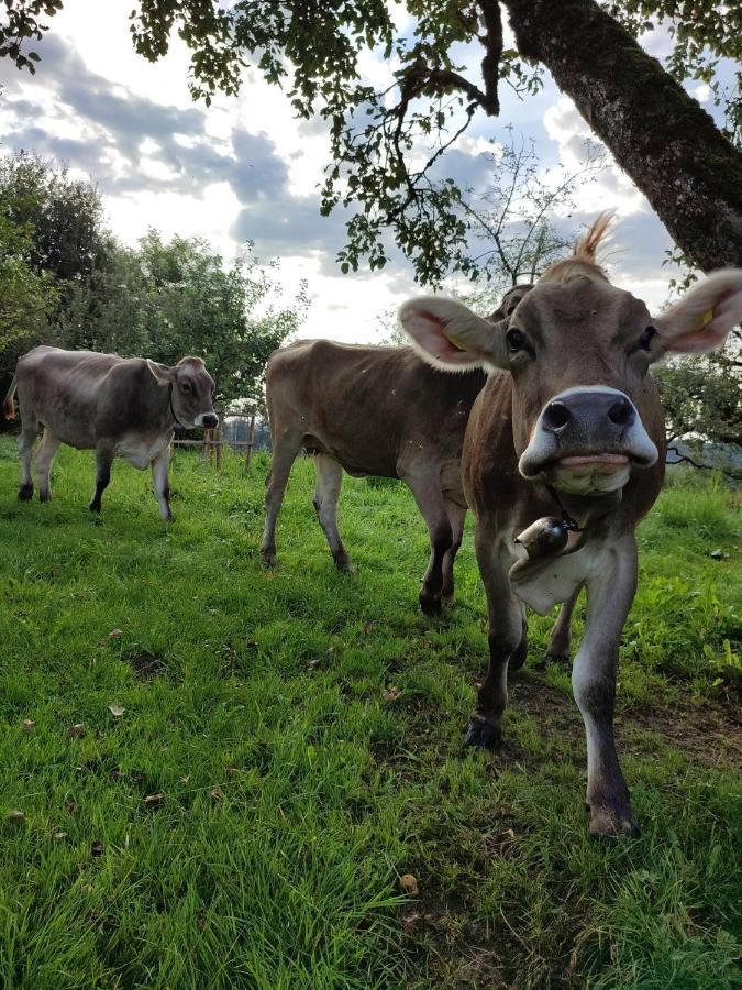 Ferienwohnung Trifts | Einzelbetten | Parkplatz Wangen im Allgäu Buitenkant foto