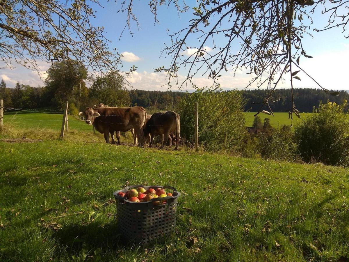 Ferienwohnung Trifts | Einzelbetten | Parkplatz Wangen im Allgäu Buitenkant foto